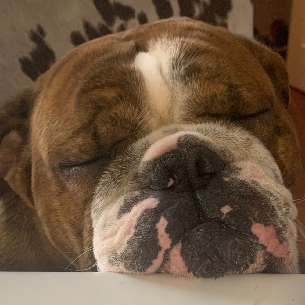 Meet your Posher, Tammi